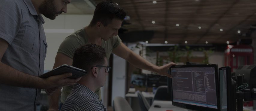 Hire Senior .Net Developer Hire Senior .Net Developer