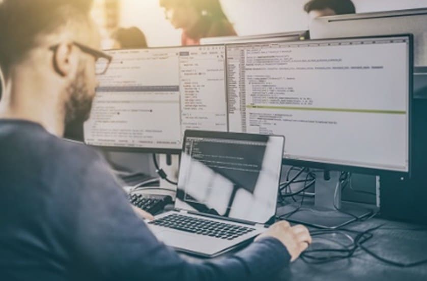 Hunting-down 2 .Net Development Consulting Services
