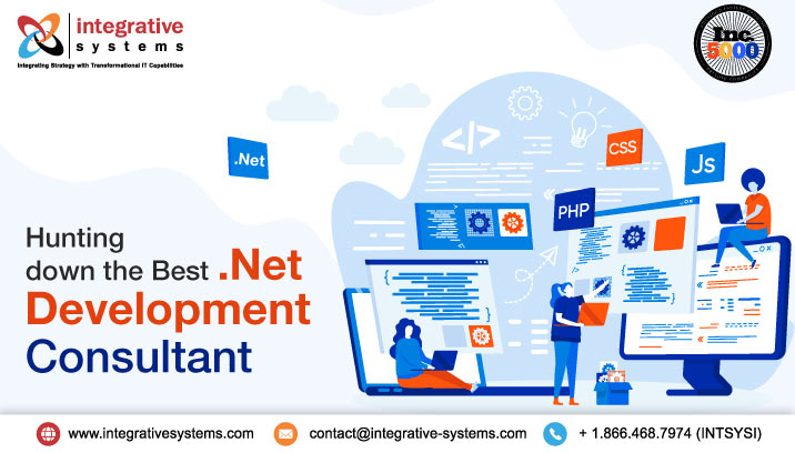 .Net Development Consulting Services