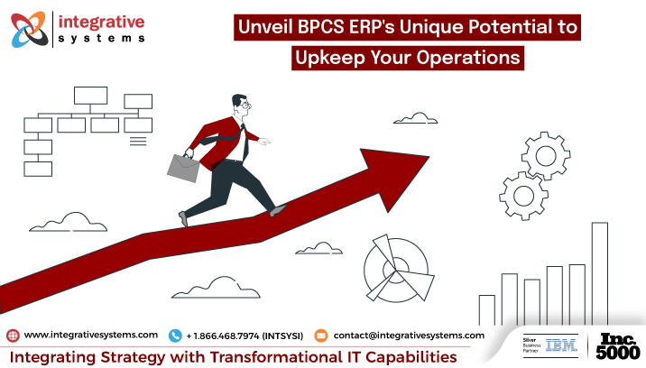 BPCS ERP services