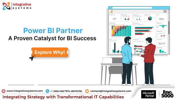 Power bi partner