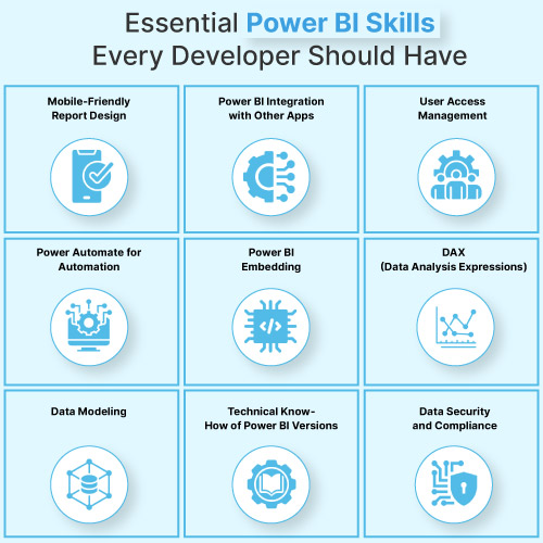 Power BI developer