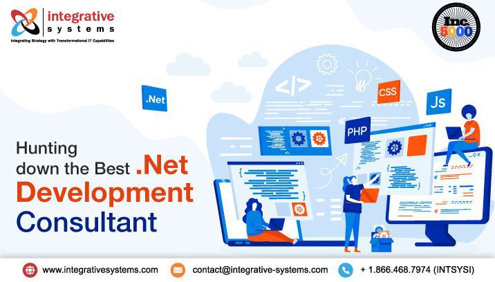.Net Development Consulting Services